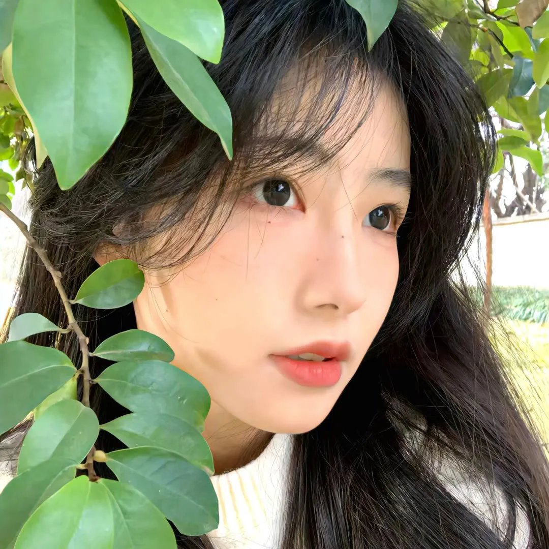 恍惚的土地